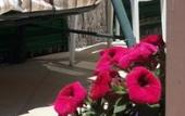 Туры в отель B&B Sogni d'oro Туры в отель B&B Sogni d'oro