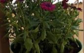 Туры в отель B&B Sogni d'oro Туры в отель B&B Sogni d'oro