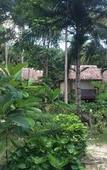 Туры в отель Smile Bungalows Туры в отель Smile Bungalows