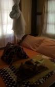 Туры в отель Smile Bungalows Туры в отель Smile Bungalows