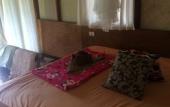 Туры в отель Smile Bungalows Туры в отель Smile Bungalows