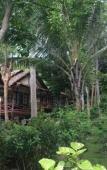 Туры в отель Smile Bungalows Туры в отель Smile Bungalows