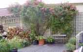 Туры в отель Hotel Villa Escudier Туры в отель Hotel Villa Escudier