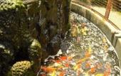 Туры в отель Luisita Central Park Hotel Туры в отель Luisita Central Park Hotel