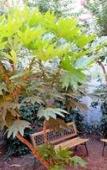 Туры в отель B&B I 10 Mondi Туры в отель B&B I 10 Mondi