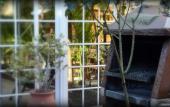 Туры в отель Don Pepe Hotel y Cabanas Туры в отель Don Pepe Hotel y Cabanas