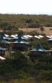 Туры в отель AA Lodge Masai Mara Туры в отель AA Lodge Masai Mara