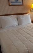 Туры в отель Sunrise Inn Williamstown Туры в отель Sunrise Inn Williamstown