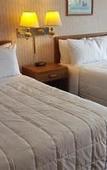 Туры в отель Sunrise Inn Williamstown Туры в отель Sunrise Inn Williamstown