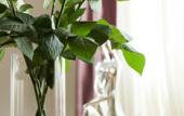 Туры в отель Electra Hotel Туры в отель Electra Hotel
