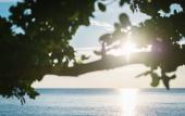 Туры в отель Medee Resort Туры в отель Medee Resort