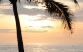 Туры в отель Medee Resort Туры в отель Medee Resort