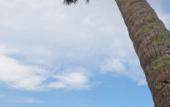 Туры в отель Medee Resort Туры в отель Medee Resort