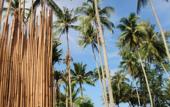 Туры в отель Medee Resort Туры в отель Medee Resort