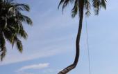 Туры в отель Medee Resort Туры в отель Medee Resort