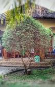 Туры в отель Sejuk Cottages Туры в отель Sejuk Cottages