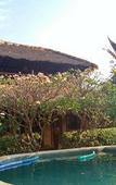 Туры в отель Sejuk Cottages Туры в отель Sejuk Cottages