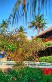 Туры в отель Sejuk Cottages Туры в отель Sejuk Cottages