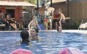 Туры в отель Pool Party Hostel Туры в отель Pool Party Hostel