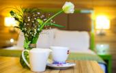 Туры в отель Holiday Inn Plovdiv by IHG Туры в отель Holiday Inn Plovdiv by IHG