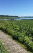 Туры в отель Terrace Bay Hotel Туры в отель Terrace Bay Hotel