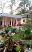 Туры в отель Sea Breeze Resort Туры в отель Sea Breeze Resort