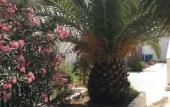 Туры в отель Milos Hotel Туры в отель Milos Hotel