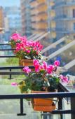 Туры в отель Amalfi Coast Туры в отель Amalfi Coast