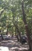 Туры в отель Camping Dolce Vita Туры в отель Camping Dolce Vita