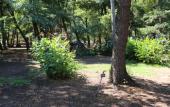 Туры в отель Camping Dolce Vita Туры в отель Camping Dolce Vita