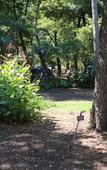 Туры в отель Camping Dolce Vita Туры в отель Camping Dolce Vita