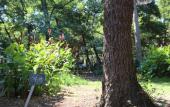 Туры в отель Camping Dolce Vita Туры в отель Camping Dolce Vita