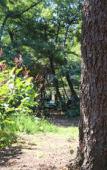 Туры в отель Camping Dolce Vita Туры в отель Camping Dolce Vita