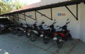 Туры в отель Parrot Resort Moalboal Туры в отель Parrot Resort Moalboal