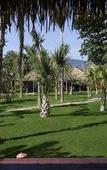 Туры в отель Mali Resort Sunrise Beach Туры в отель Mali Resort Sunrise Beach