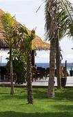 Туры в отель Mali Resort Sunrise Beach Туры в отель Mali Resort Sunrise Beach