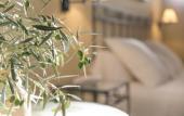 Туры в отель Hotel La Morada Mas Hermosa Туры в отель Hotel La Morada Mas Hermosa