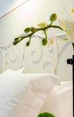 Туры в отель Hotel La Morada Mas Hermosa Туры в отель Hotel La Morada Mas Hermosa