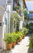 Туры в отель Hotel La Morada Mas Hermosa Туры в отель Hotel La Morada Mas Hermosa