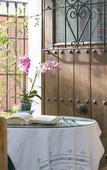 Туры в отель Hotel La Morada Mas Hermosa Туры в отель Hotel La Morada Mas Hermosa