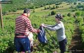 Туры в отель Fulya Pension Туры в отель Fulya Pension