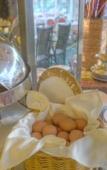 Туры в отель SEETELHOTEL Pommerscher Hof Туры в отель SEETELHOTEL Pommerscher Hof