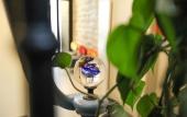 Туры в отель Hotel Helussi Туры в отель Hotel Helussi