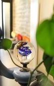 Туры в отель Hotel Helussi Туры в отель Hotel Helussi