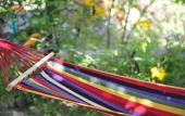 Туры в отель Chez Ronald Guest House Туры в отель Chez Ronald Guest House
