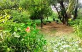 Туры в отель Chez Ronald Guest House Туры в отель Chez Ronald Guest House