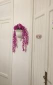 Туры в отель B&B Essenze Туры в отель B&B Essenze