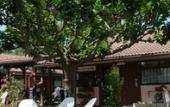 Туры в отель Hotel Cristol Туры в отель Hotel Cristol