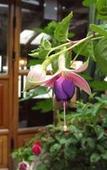Туры в отель El Balcon Туры в отель El Balcon
