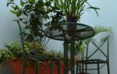 Туры в отель Casa Joaquin Boutique Hotel Туры в отель Casa Joaquin Boutique Hotel